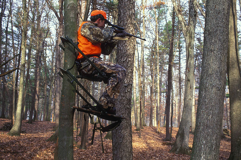 Hunter in tree